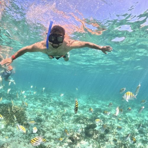 A person snorkels underwater among colorful fish in clear blue water.