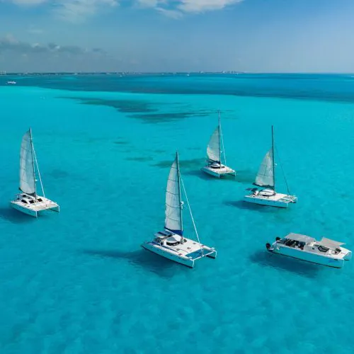 2-catamarans ariel view